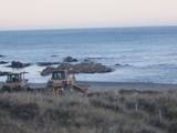 Bulldozer on Kaikoura beach