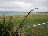 Ward Beach near Blenheim