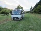 Chestnut Orchard Campsite