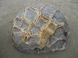 Moeraki Boulders