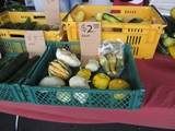 Farmers Market Dunedin