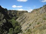 Rail Trail View