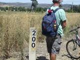 200kms pukeko