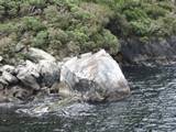 milford sound