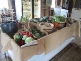 The Vege Shed produce