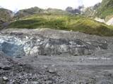 Fox Glacier