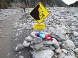 Fox Glacier