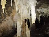 mites and tites in Ngarua Caves