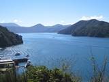 queen charlotte sound at picton