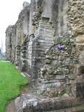 Glastonbury Abbey