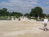 Tuileries Garden - in the distance between the tree you can see the Arc de Triomphe