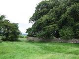 The Hill of Tara