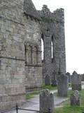 The Rock of Cashel