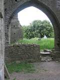 Abbey ruins near The Rock of Cashel