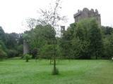 Blarney Castle, Munster