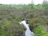 Culloden battlefield