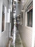 The narrow alleyways between the buildings in Kat Hing Wai