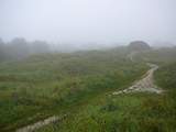 Battlefield near Verdun