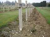 Graves in Verdun Cemetery