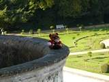 Rugby Guy and Crusader Bear at Phillipe's Castle