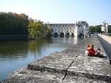 Rugby Guy and Crusader Bear at Phillipe's Castle