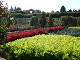 Gardens, Chateau Villandry