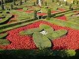 Gardens, Chateau Villandry