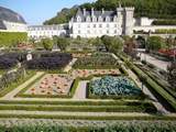 Gardens, Chateau Villandry