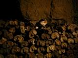 Rugby Guy sitting on a pile of old bones