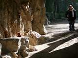 Fontaine Garden Bear in Nîmes