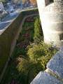 Old moat now planted in gardens at Château d'Angers