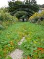 Claude Monet's gardens late autumn