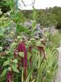 Claude Monet's gardens late autumn