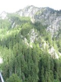 Neuschwanstein Castle