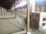 Auschwitz/Birkenau Camps