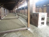 Auschwitz/Birkenau Camps