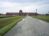 Auschwitz/Birkenau Camps