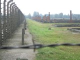 Auschwitz/Birkenau Camps