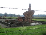 Auschwitz/Birkenau Camps