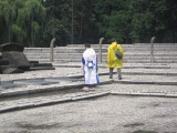 Auschwitz/Birkenau Camps