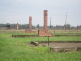 Auschwitz/Birkenau Camps