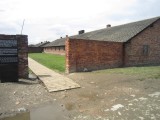 Auschwitz/Birkenau Camps