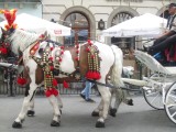 Old Town Square Krakow