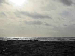 Himatangi Beach