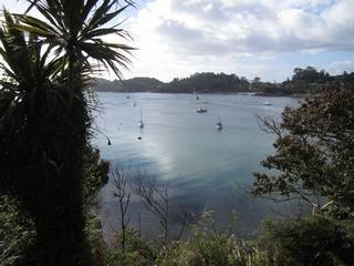 Halfmoon Bay Stewart Island