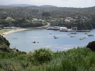 Halfmoon Bay Stewart Island