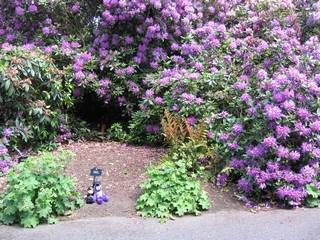 Not more teddies in Kew gardens