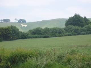 white horse cut in the chalk at Avebury