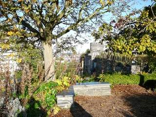 garden in Château d'Angers