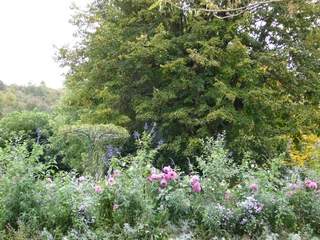 Claude Monet's Gardens